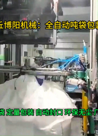 純堿全自動噸袋包裝秤，非標定制智能噸袋包裝秤