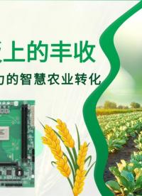 飛騰主板上的豐收，從算力到生產力的智慧農業(yè)轉化#工控主板 #飛騰主板 #國產芯片 #國產主板 #智慧農業(yè) 