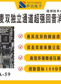 抗風噪-AI降噪消回音模組