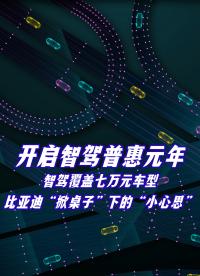 比亞迪掀桌子了？覆蓋七萬元車型，車主喜迎智駕普惠元年