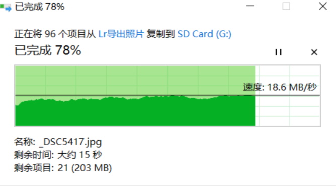 image-20241210154529734