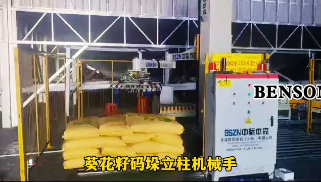 山东本森智能装备   葵花籽码垛立柱机械手   本森码垛机器人#码垛机器人
 