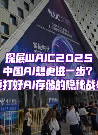 在最火WAIC，怎么能不看看AI存儲(chǔ)？
