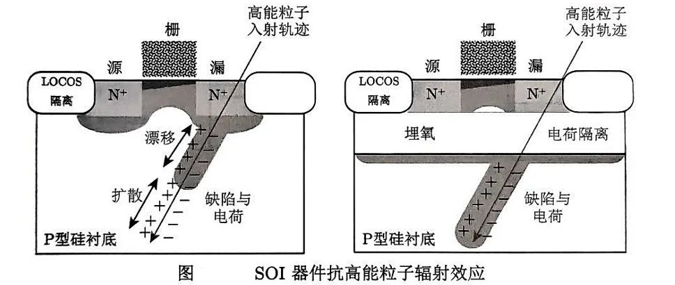 a66a44da-67ad-11f0-a6aa-92fbcf53809c.jpg