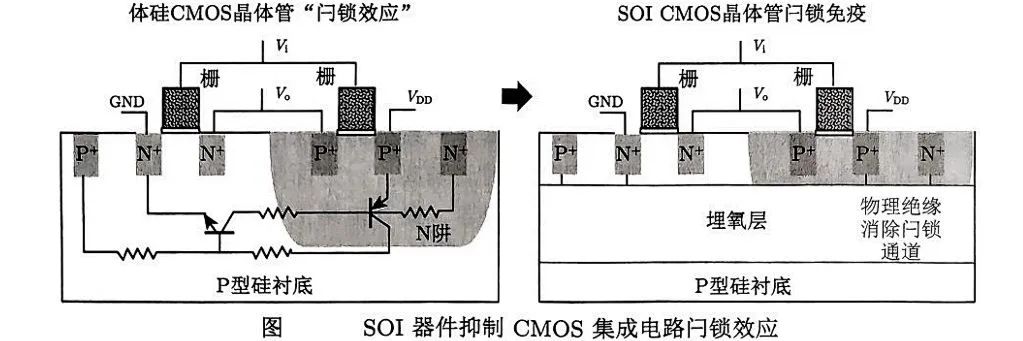a65beef8-67ad-11f0-a6aa-92fbcf53809c.jpg