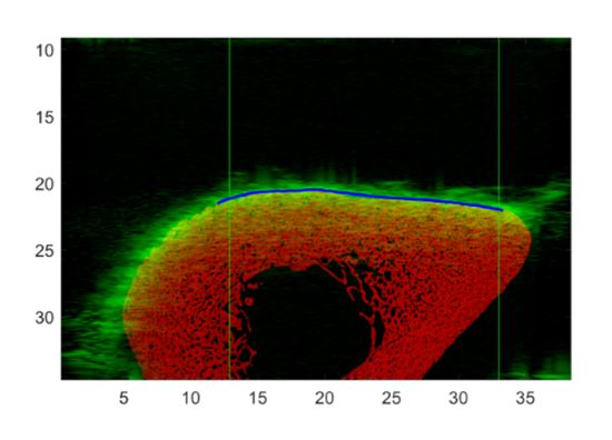 c0e18ea4-67ad-11f0-a6aa-92fbcf53809c.png