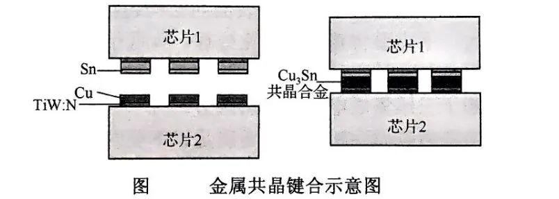7a84249c-6c64-11f0-a18e-92fbcf53809c.jpg