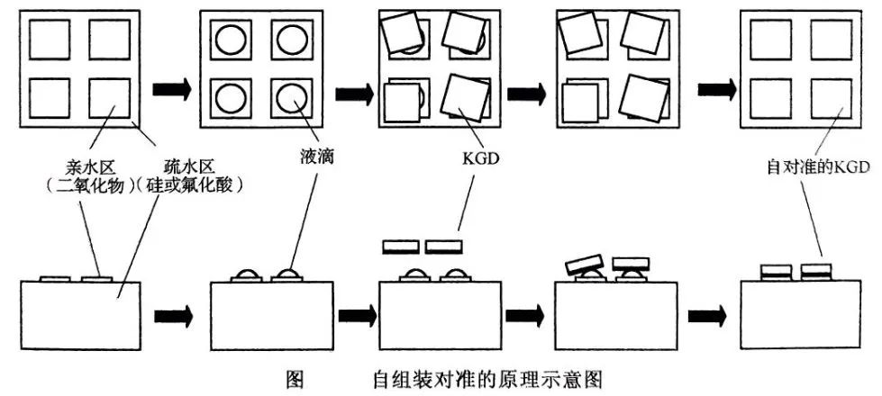 f05bc6a6-6a08-11f0-a6aa-92fbcf53809c.jpg