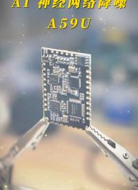 
A-59U語音模塊：多場景智能語音處理專家# #回聲消除#智能降噪

 