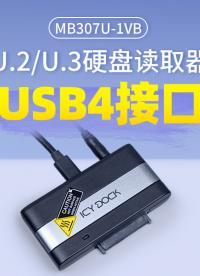 USB4.0滿血性能，5000MB/s的 ICY DOCK移動(dòng)U.2/U.3硬盤盒速覽 #移動(dòng)硬盤盒
 