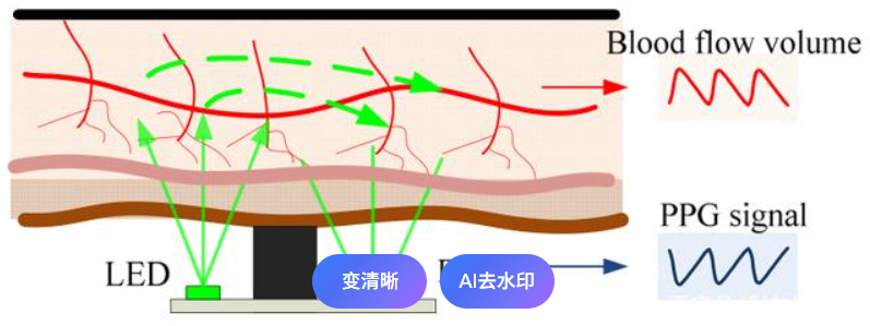 wKgZPGiRsuqAFLyyAASYN_D5I-8972.png