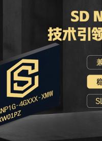 從微控制器到存儲(chǔ)芯片（貼片tf卡）揭秘按摩儀的高效與安全設(shè)計(jì)#存儲(chǔ) #芯片 #貼片tf卡 #按摩儀 #單片機(jī) 