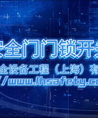 D3SL 電磁鎖定安全門鎖開關(guān)