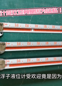 原來磁浮子液位計受歡迎竟是因為這些！