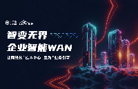 SDWAN | ӡɱġ<b class='flag-5'>ҵ</b><b class='flag-5'></b><b class='flag-5'></b><b class='flag-5'></b>