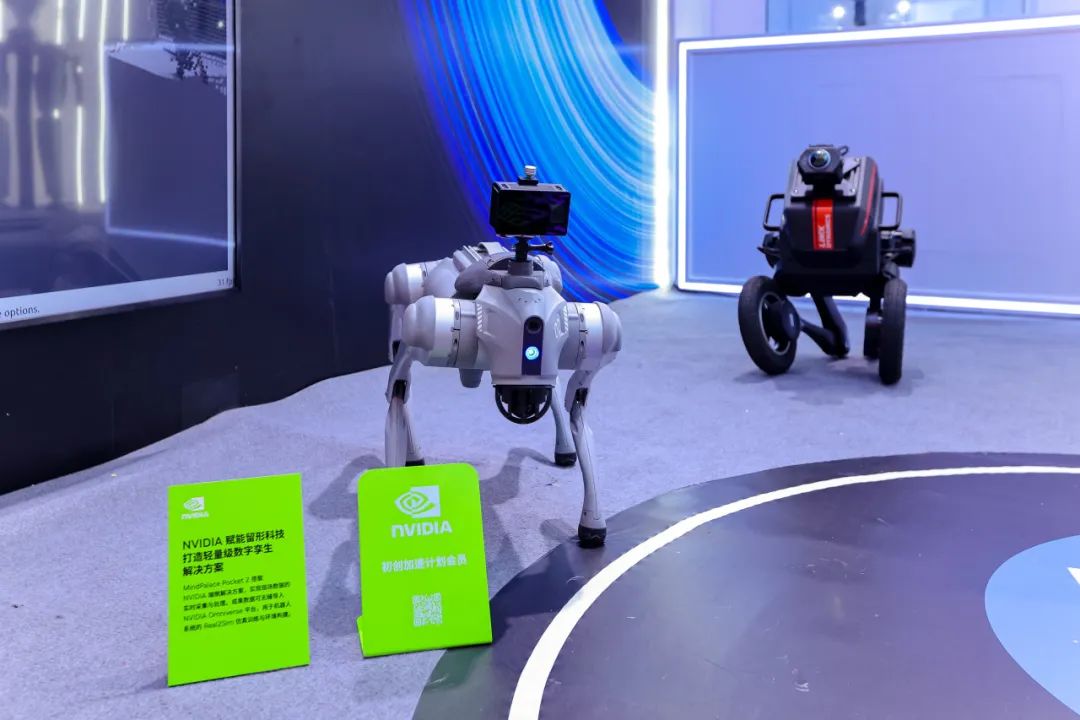 d310a702-78fd-11f0-a18e-92fbcf53809c.jpg