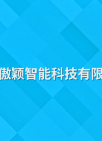 傲穎 AY-113-五指刮擦測(cè)試儀Q/LiA5400014-2023(V3)-說(shuō)明方案