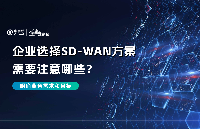 <b class='flag-5'>ҵ</b>ѡ<b class='flag-5'>SD-WAN</b><b class='flag-5'></b>ҪעЩ| ҵITĿ