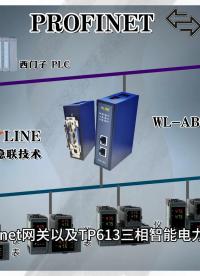 Modbus轉(zhuǎn)Profinet網(wǎng)關(guān)連接TP613三相智能電力儀表與PLC的配置案例