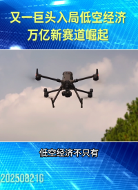 又一巨頭入局低空經(jīng)濟(jì)！萬億新賽道崛起#電子技術(shù) 