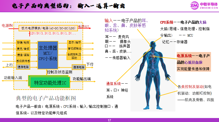 wKgZO2im00yAeub9AAHUa_nkzxs348.png