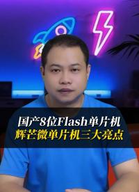 輝芒微高性能8位單片機，采用類PIC精簡指令集，高集成、低功耗、強抗擾，應(yīng)用廣，家電、玩具、智能家居等！