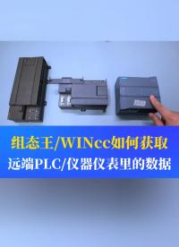 組態(tài)王/WINCC通過藍(lán)蜂的API轉(zhuǎn)MODBUS-TCP服務(wù)獲取遠(yuǎn)端設(shè)備數(shù)據(jù)的應(yīng)用#工業(yè)自動化 #plc 