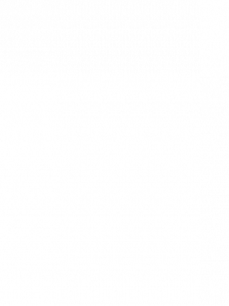 电池芯片