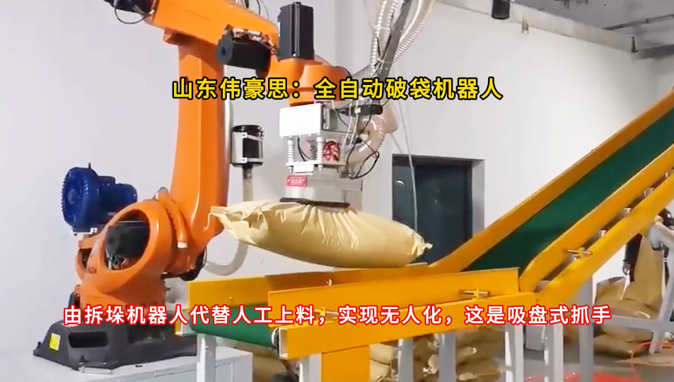 硝酸钠自动拆袋机器人，50KG袋料全自动拆包投料站
