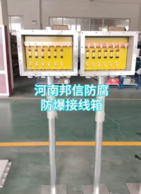 新型鋁合金陰極保護(hù)防爆接線箱 不銹鋼帶立柱陽極防爆分線箱# 防爆接線箱# 