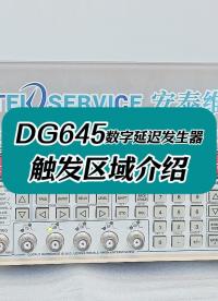 DG645的觸發(fā)區(qū)域介紹 #儀器儀表 #儀器儀表維修 