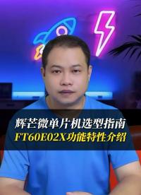 選型指南：輝芒微8位FLASH單片機(jī)FT60E02X功能特性與應(yīng)用場(chǎng)景解析！#單片機(jī)
 