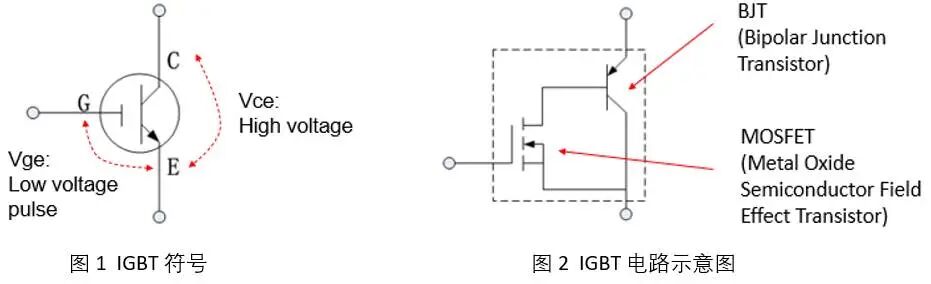 0c73ddac-8646-11f0-a18e-92fbcf53809c.jpg
