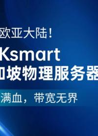 輻射歐亞大陸！RAKsmart新加坡物理服務(wù)器實(shí)測：硬件滿血，帶寬無界#新加坡物理服務(wù)器
#RAKsmar
 