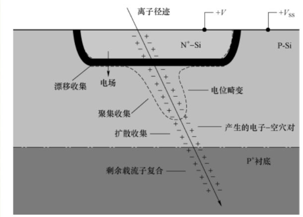 4364c656-8b09-11f0-8c8f-92fbcf53809c.png
