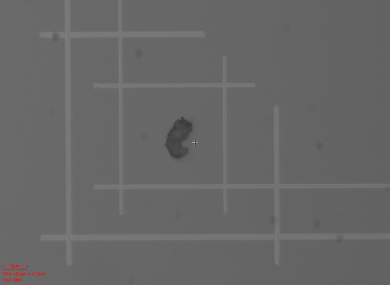 745dfb78-8a01-11f0-8c8f-92fbcf53809c.png