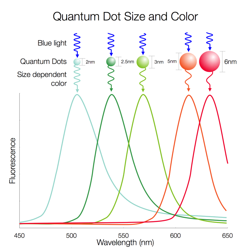 293144fa-8c92-11f0-8c8f-92fbcf53809c.png