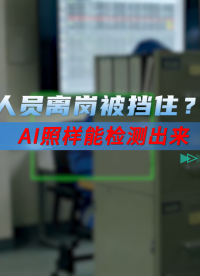 技術(shù)解析：AI如何在遮擋環(huán)境下實(shí)現(xiàn)礦山人員離崗精準(zhǔn)檢測(cè)？# 離崗識(shí)別#人工智能 