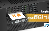 全新企業(yè)級存儲方案！8 盤位 U.2/U.3 PCIe 4.0 存儲硬核來襲