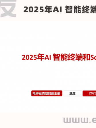 AI,智能终端,经验分享