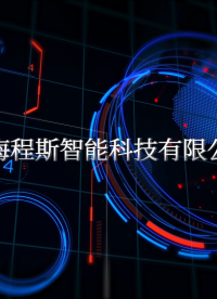 上海程斯 CSI-ZY005 種植體手動扭矩器械試驗儀-裝置4型 IS0 11953:2010 售后完善