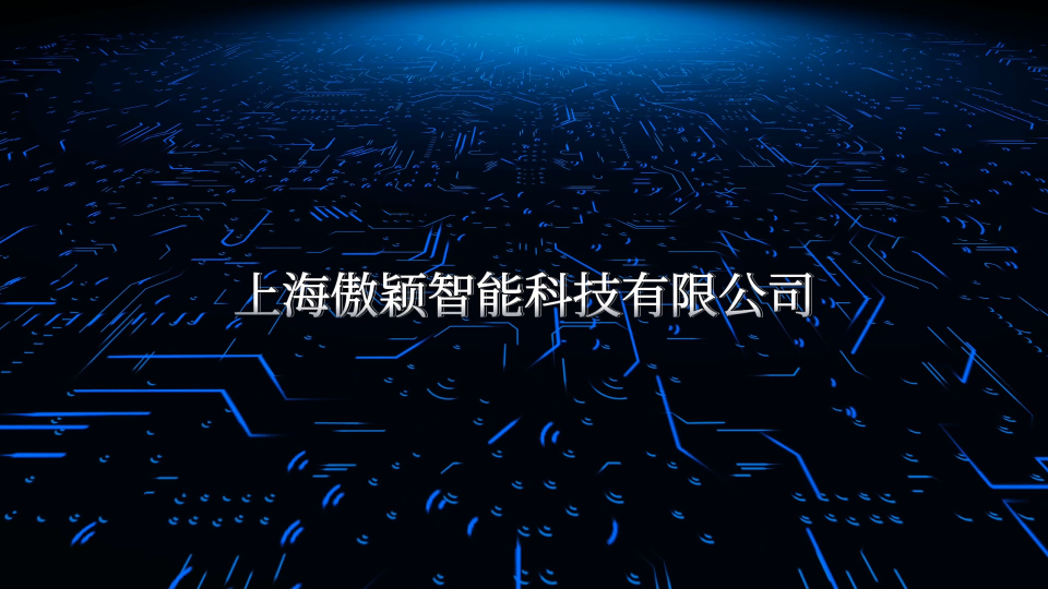 傲颖 AY-ZY006 -种植体手动扭矩器械试验仪-装置1型/IS0 11953:2010-符合标准