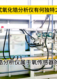 直插式氧化鋯分析儀有何獨特之處？ #傳感器 