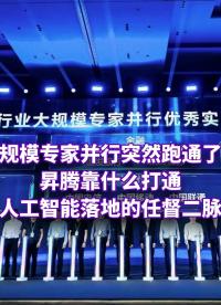 大規(guī)模專(zhuān)家并行，靠什么跑通行業(yè)閉環(huán)？