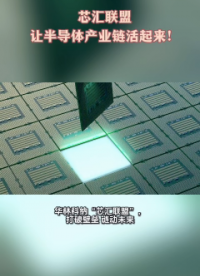 芯匯聯(lián)盟讓半導(dǎo)體產(chǎn)業(yè)鏈活起來！# 半導(dǎo)體