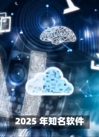 2025最新知名軟件開發(fā)公司推薦：業(yè)內(nèi)權(quán)威排行榜