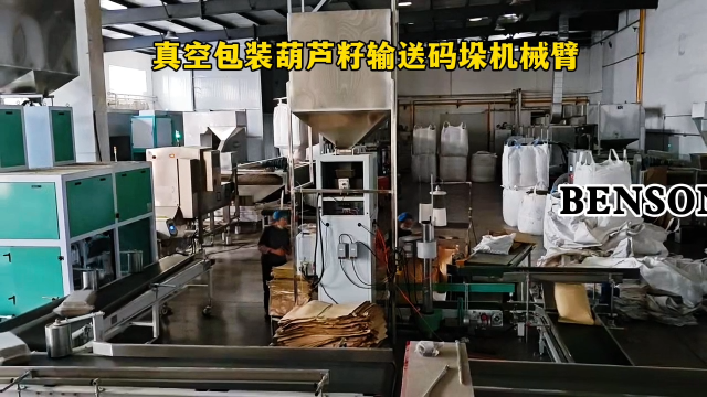 山东本森智能装备 码垛机器人多少钱 真空包装葫芦籽输送码垛机械臂#码垛机器人

 