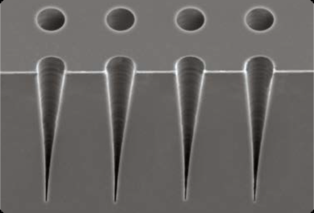8b9cf442-a68a-11f0-8c8f-92fbcf53809c.png