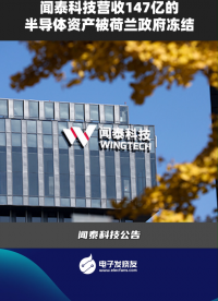 聞泰科技營(yíng)收147億的半導(dǎo)體資產(chǎn)被荷蘭政府凍結(jié)