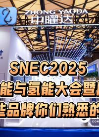 SNEC2025國際儲能與氫能大會暨展覽會